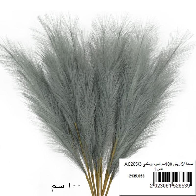 Picture of ضمة ريش